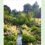 Three Gardens: Sherborne, Chandler&#039;s Ford, Wickham