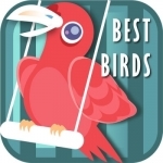 The Best Birds Sounds+