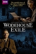 Wodehouse in Exile (Wodehouse In Exile) (2015)