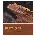 Crested Gecko - Pet Expert: Understanding and Caring for Your Pet