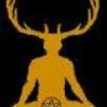 The Satyr's Thicket