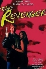 The Revenger (1990)