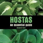 Hostas: An Essential Guide