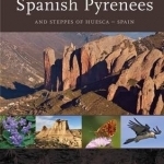 Spanish Pyrenees: And Steppes of Huesca - Spain