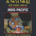 Nudibranch &amp; Sea Slug Identification -- Indo-Pacific