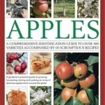 The Illustrated World Encyclopedia of Apples: a Comprehensive Identification Guide to Over 400 Varieties Accompanied by 95 Scrumptious Recipes