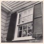 What a Pleasure by Beach Fossils