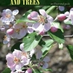 Midwestern Native Shrubs and Trees: Gardening Alternatives to Nonnative Species