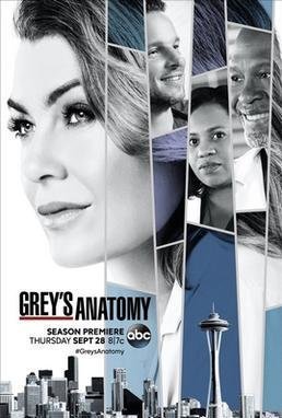 Grey&#039;s Anatomy - Season 14