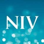 NIV Bible: British Text New International Version