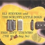 This Ain&#039;t Country (&#039;Till We Say So) by Eli Stevens