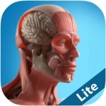 Anatomy Game Anatomicus Lite