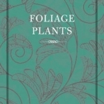 Foliage Plants