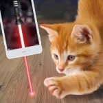 Laser Pointer For Cat - Lightsaber Simulator Prank