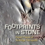 Footprints in Stone: Fossil Traces of Coal-Age Tetrapods