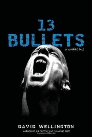 13 Bullets