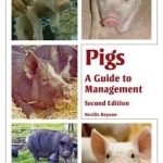 Pigs: A Guide to Management