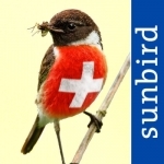 Alle Vögel Schweiz - ein vollständiger Naturführer zu allen Schweizer Vogelarten