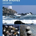 Snails on Rocky Sea Shores