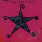 Star for Bram by Robyn Hitchcock