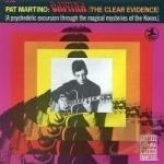 Baiyina (The Clear Evidence) by Pat Martino