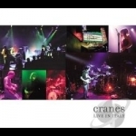 Live in Italy by Cranes