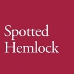 Spotted Hemlock