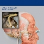 The Facial Nerve