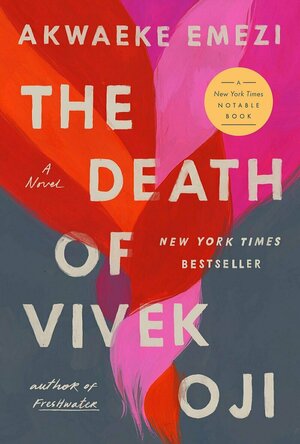 The Death of Vivek Oji