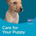 RSPCA Pet Guide: Care for Your Puppy