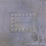 Next Perfect Thing by down holly