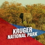 Kruger National Park Tourism Guide