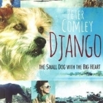 Django: The Small Dog with a Big Heart
