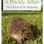 A Prickly Affair: The Charm of the Hedgehog