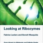 Looking at Ribozymes: From Atomic to Molecular and Cellular Scales