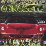 Surviving the Concrete Jungle by Anjel