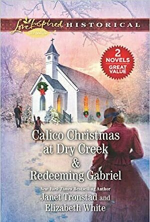 Calico Christmas at Dry Creek (Dry Creek Historical, #1)