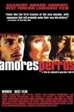 Amores Perros (2001)