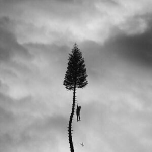 A Black Mile to the Surface by Manchester Orchestra