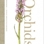 Orchids