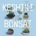 Keshiki Bonsai: The Easy, Modern Way to Create Miniature Landscapes