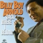 Back Where I Belong by Billy Boy Arnold