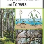 Biodiversity of Tropical Wetlands and Forests