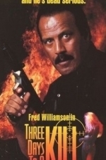 Three Days to a Kill (1991)