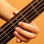 Learn how to play Bass Guitar PRO