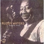 HONEY BEE by Muddy Waters