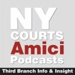Amici: Third Branch Info & Insight