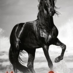 Horse of Fire: Horse Stories from Around the World