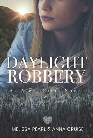 Daylight Robbery (Aspen Falls #6)