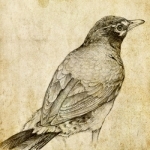 Sketch Master Pro - My Cartoon Photo Effects Filter & Pic Editor Booth